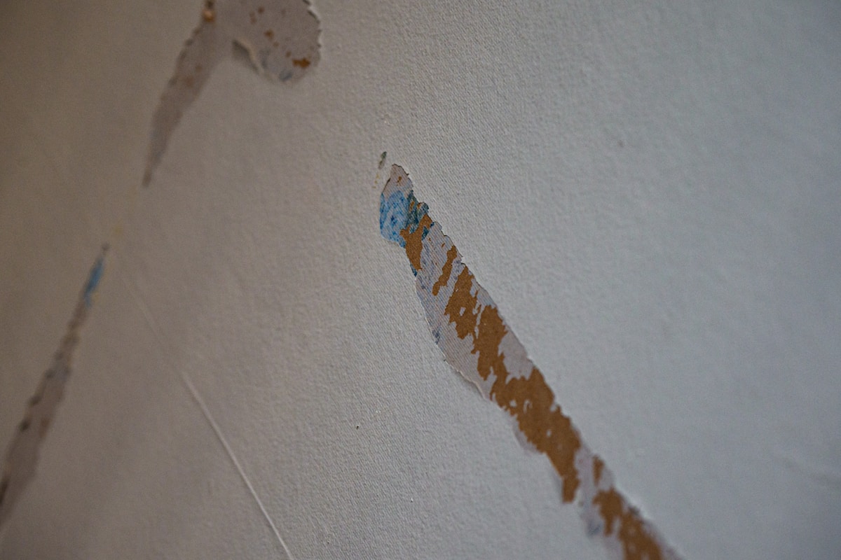 Mold Remediation service in Pasco, WA